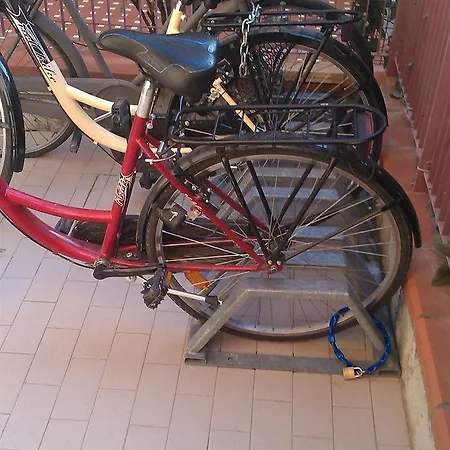 Grazia Rimini Hotel Hotel *