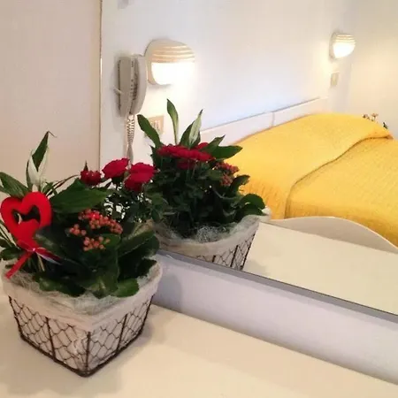 Grazia Rimini Hotel *