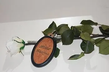Grazia * רימיני