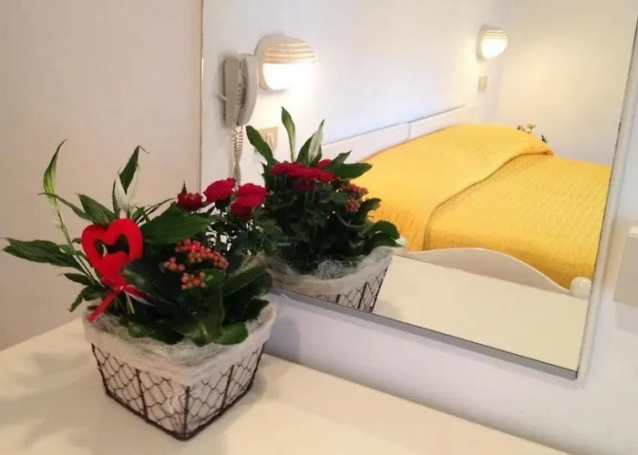 Grazia Rimini Hotel *